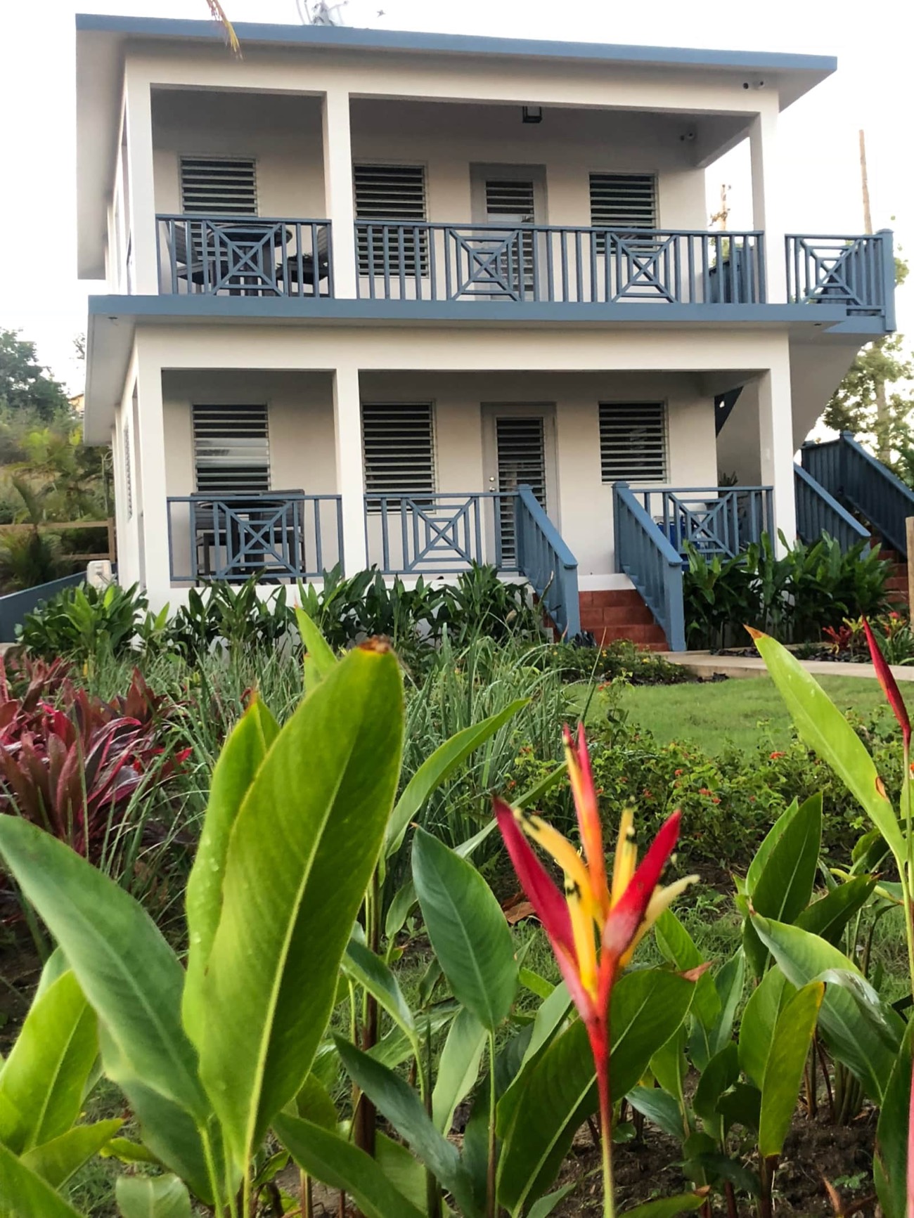 The two-story oceanfront casitas of Paradise Cove Suites, fronted by heliconia and tropical gardens